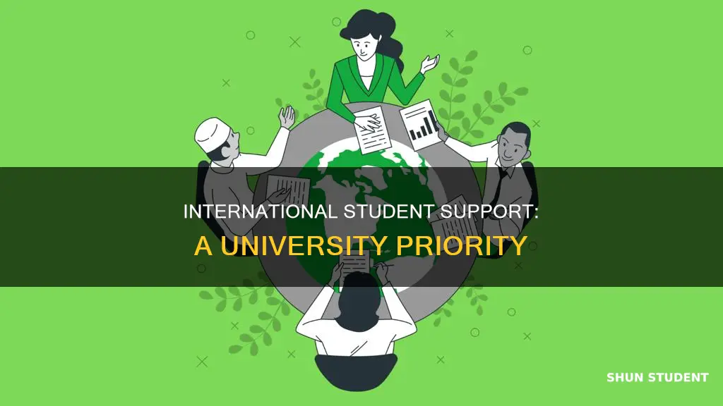 do most universities have international student offices