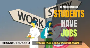 University Students: Do They Need Jobs?