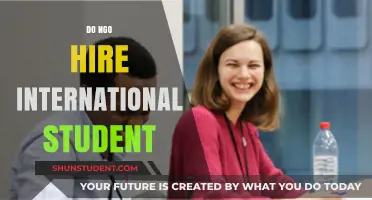 International Students: Can NGOs Offer Employment?