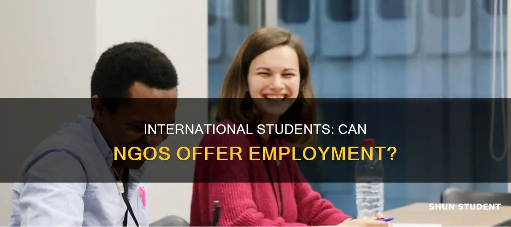 do ngo hire international student