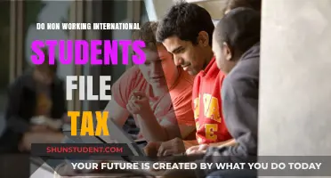 International Students: Tax Filing Requirements and Exemptions