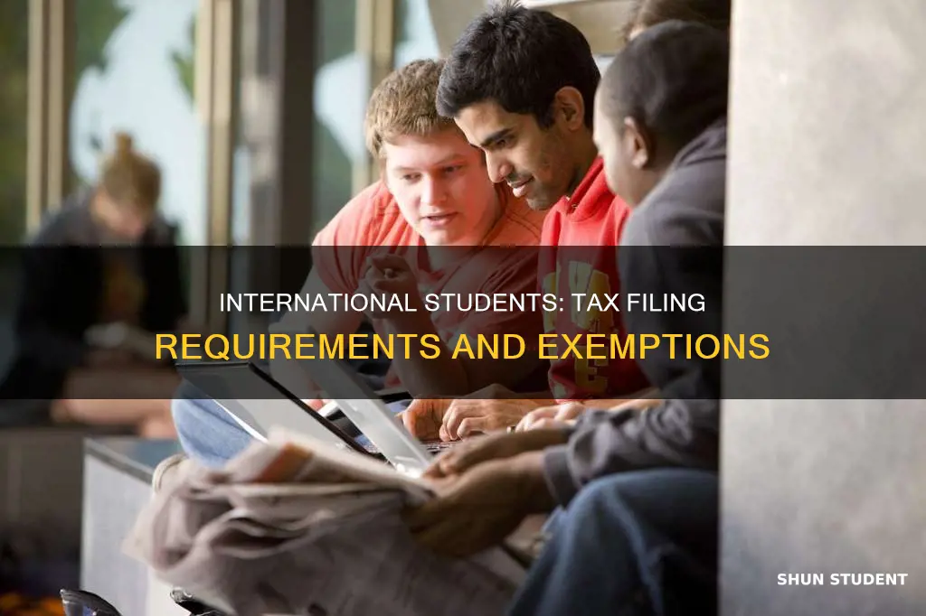do non working international students file tax