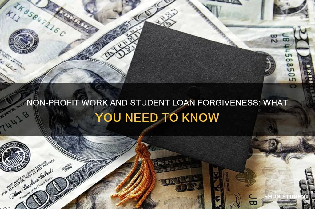 do not for profit count for student loan forgiveness