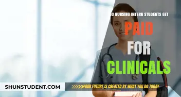 Nursing Intern Clinical Placements: Are They Paid?