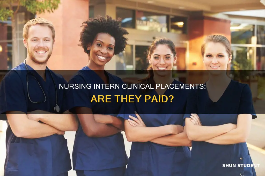 do nursing intern students get paid for clinicals