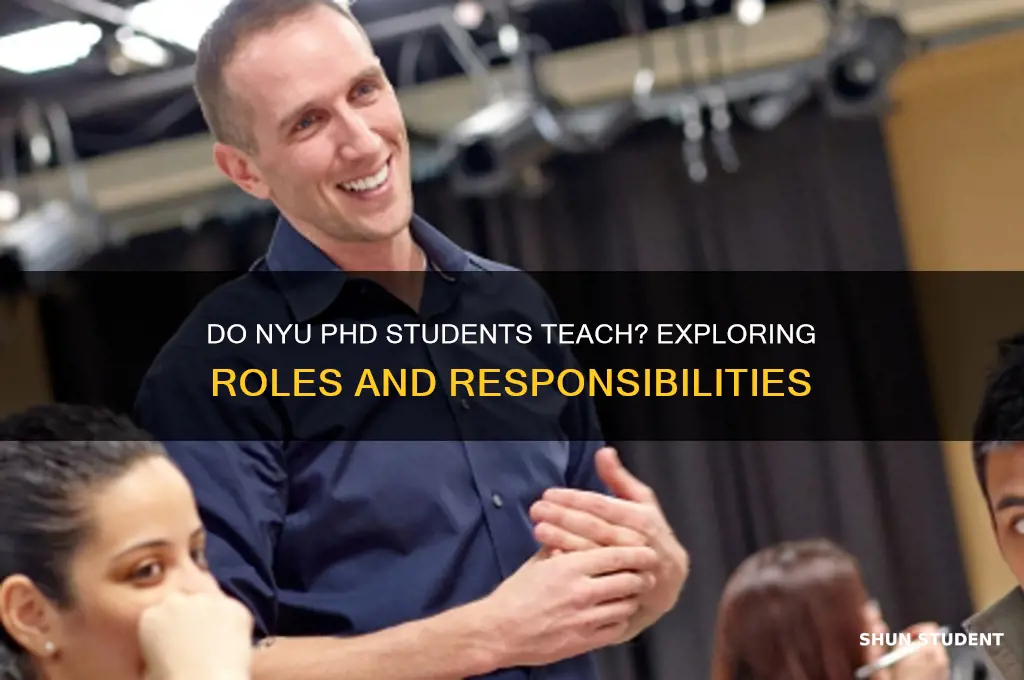 do nyu phd students teach