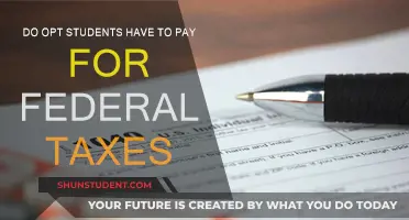 OPT Students and Federal Taxes: What You Need to Know