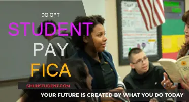 OPT Students and FICA: Who Pays?