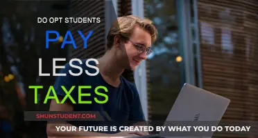 OPT Students: Lower Taxes?