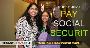 Opt Students and Social Security: Who Pays?