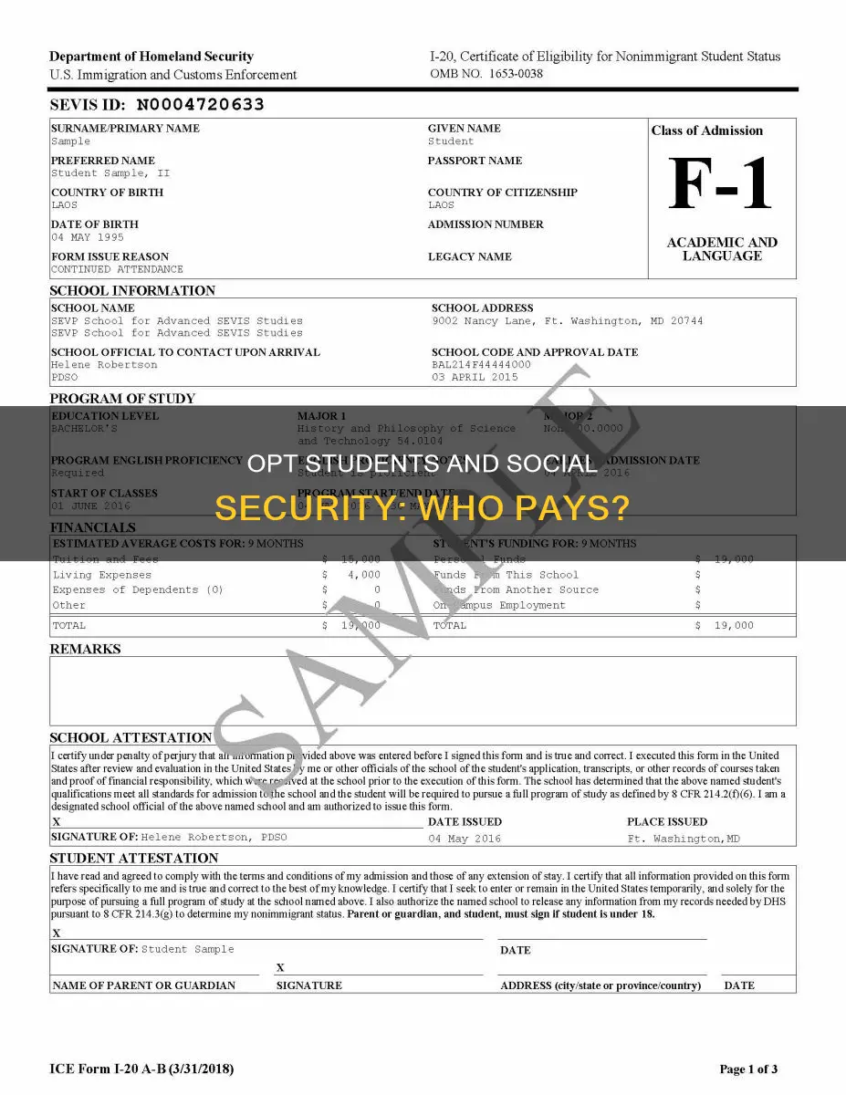 do opt students pay social security