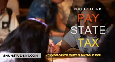 Opt Students and State Tax: Who Pays?