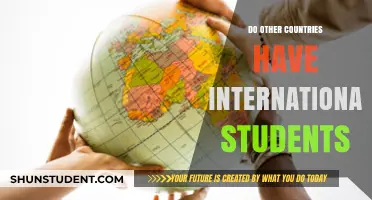 International Students: A Global Education Phenomenon