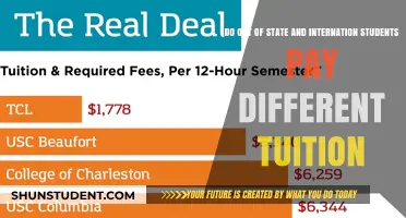 Tuition Fees: Out-of-State and International Students Compared