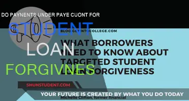 Understanding PAYE Repayments and Student Loan Forgiveness