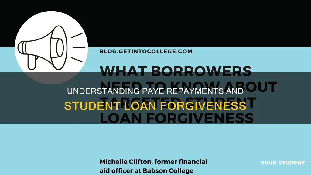 do paynents under paye cuont for student loan forgivness