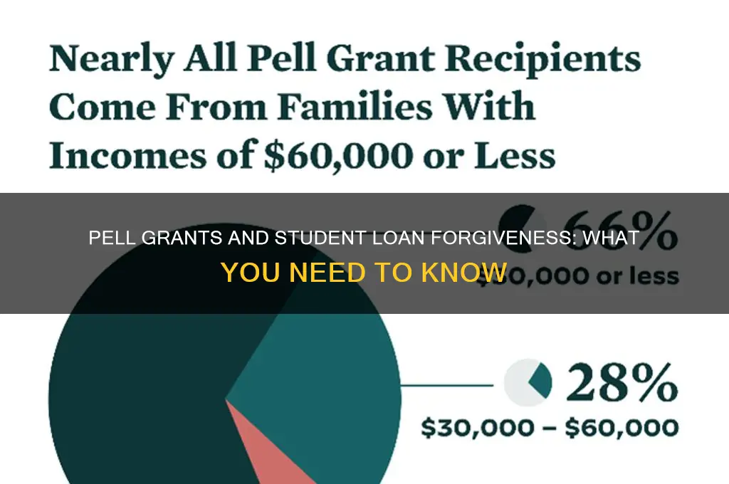 do pell grants qualify for student loan forgiveness