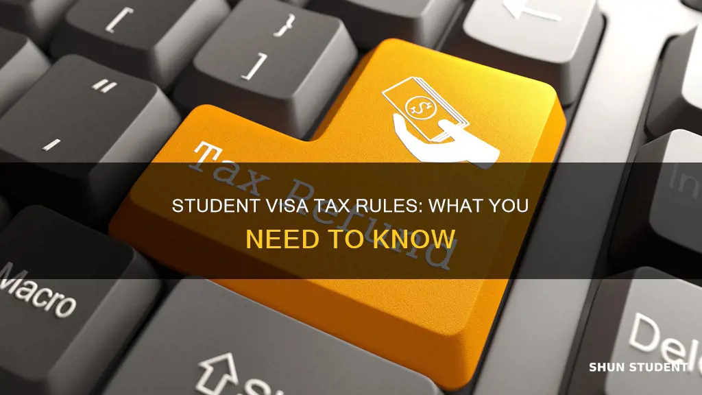 do people on student visa pay taxes
