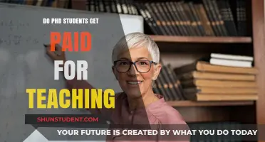 Do PhD Students Get Paid for Teaching? Exploring Graduate Assistantships