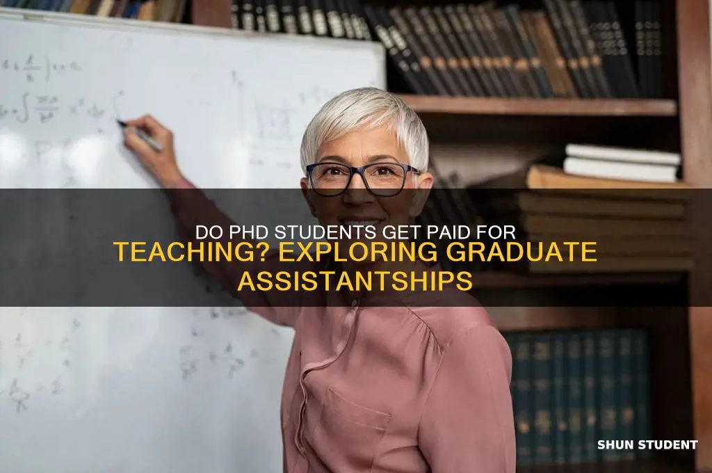 do phd students get paid for teaching