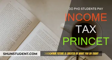 PhD Students and Income Tax: What's the Deal?