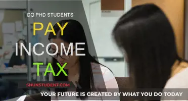 PhD Students and Income Tax: Who Pays?