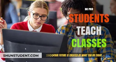 Do PhD Students Teach? Unveiling Their Role in University Classrooms