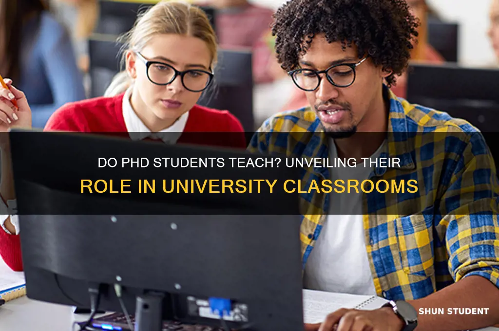 do phd students teach classes