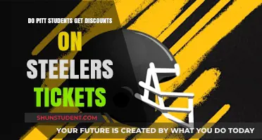 Pitt Students: Steelers Ticket Discounts and Savings Explained