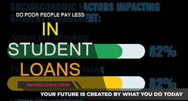 Student Loans: Do Poor Students Pay Less?