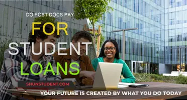 Post-Docs: Student Loan Payment Strategies