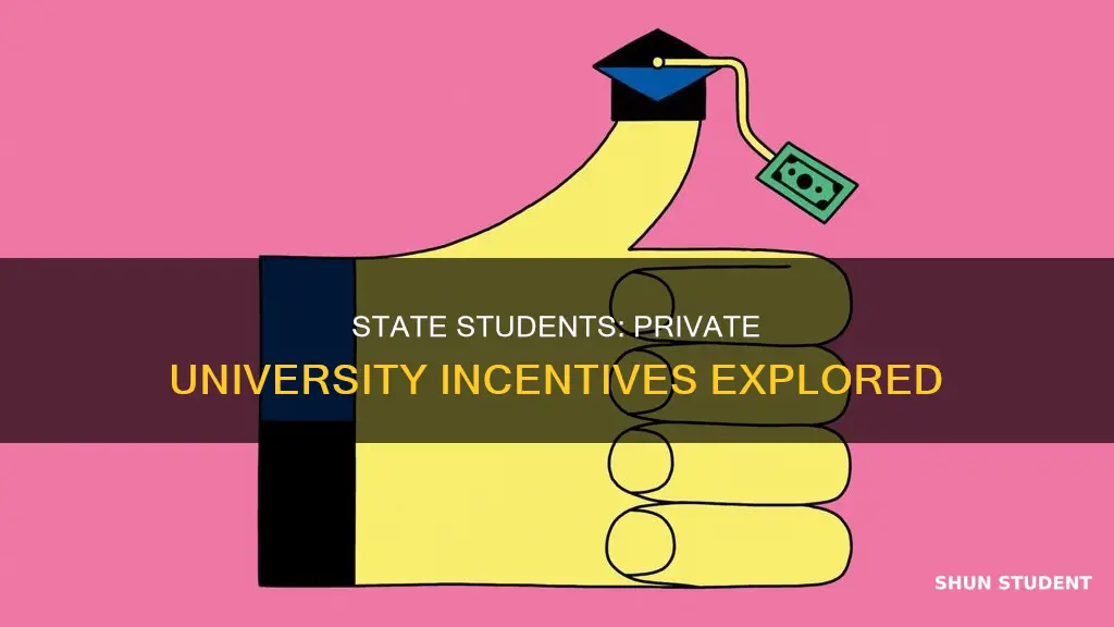 do private universities have incentives to get in state students