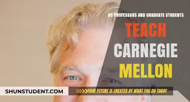 Who Teaches at Carnegie Mellon: Professors, Graduate Students, or Both?