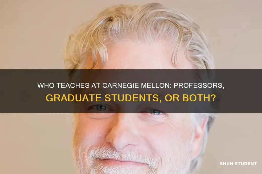 do professors and graduate students teach carnegie mellon