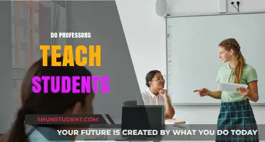Do Professors Teach or Facilitate Student Learning? Exploring the Role