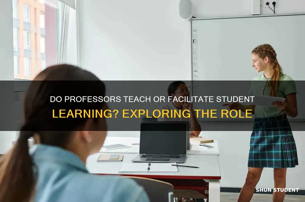 do professors teach students