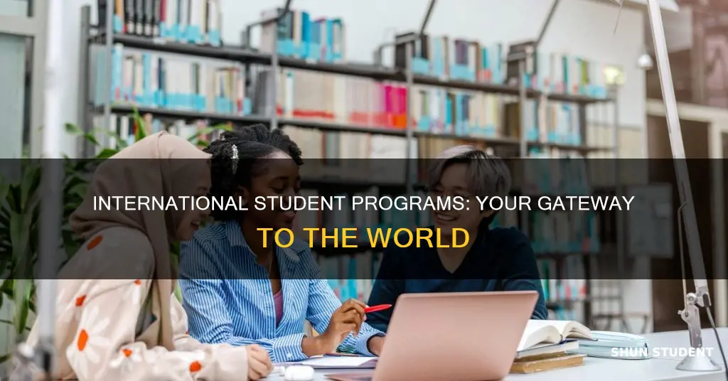 do programs for international students