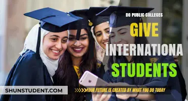 International Students: Access to Public Colleges