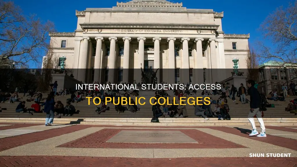 do public colleges give international students