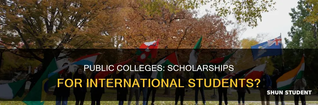 do public colleges give scholarships to international students
