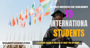 Public University Scholarships: International Students' Opportunities