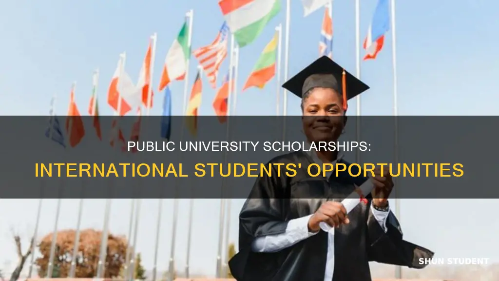 do public universities give scholarships to international students