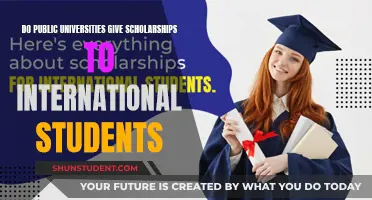 Public University Scholarships: Available for International Students?