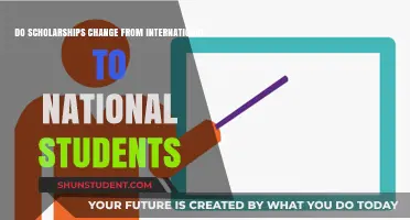 Scholarship Availability: International vs. National Students