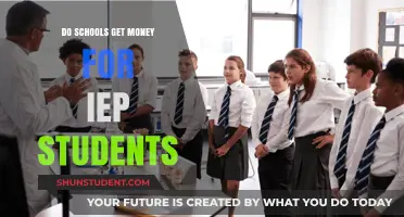 Unlocking Funding: The Financial Side of IEP Students in Schools