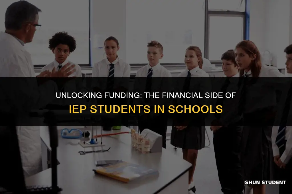 do schools get money for iep students