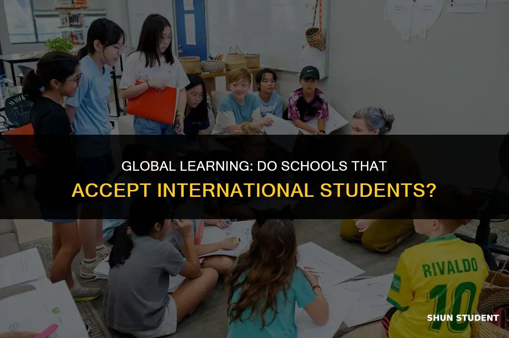 do schools that accept international students