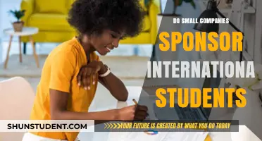 Small Companies: International Student Sponsorship Opportunities