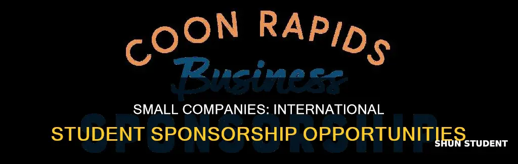 do small companies sponsor international students