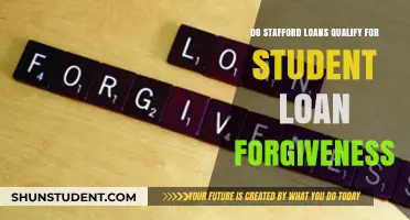 Stafford Loans and Student Loan Forgiveness: What You Need to Know